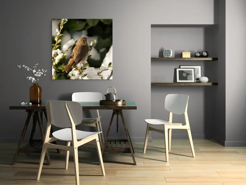 Tablou Canvas, "Pasărea cântătoare în zăpada proaspătă", Pasăre, Zăpadă, Natură, Ramuri, Frunze, Verde, Frig, Iarnă, Peisaj, Delicat, 100 x 100 cm – poza 6