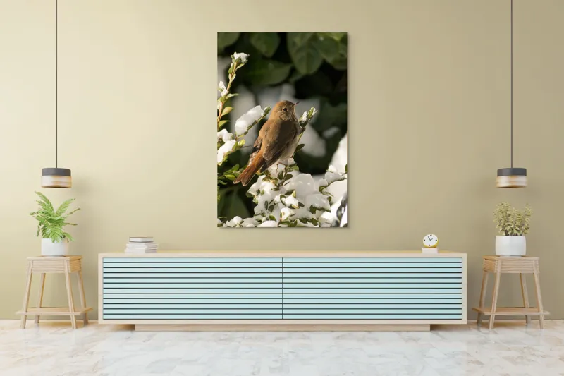 Tablou Canvas, "Pasărea cântătoare în zăpada proaspătă", Pasăre, Zăpadă, Natură, Ramuri, Frunze, Verde, Frig, Iarnă, Peisaj, Delicat, 100 x 150 cm – poza 4