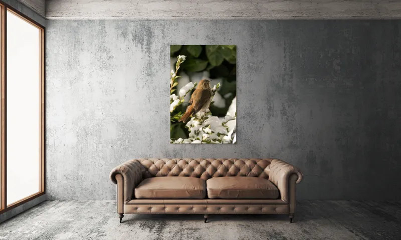 Tablou Canvas, "Pasărea cântătoare în zăpada proaspătă", Pasăre, Zăpadă, Natură, Ramuri, Frunze, Verde, Frig, Iarnă, Peisaj, Delicat, 100 x 150 cm – poza 6