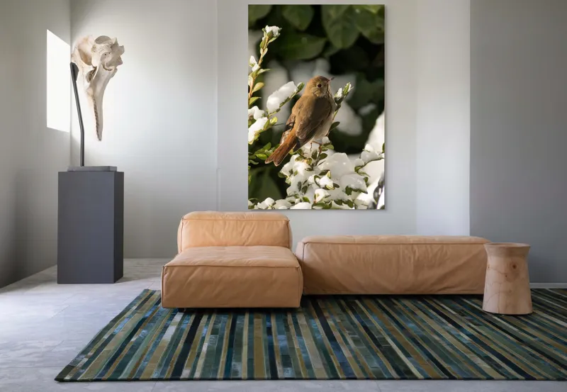 Tablou Canvas, "Pasărea cântătoare în zăpada proaspătă", Pasăre, Zăpadă, Natură, Ramuri, Frunze, Verde, Frig, Iarnă, Peisaj, Delicat, 100 x 150 cm – poza 7