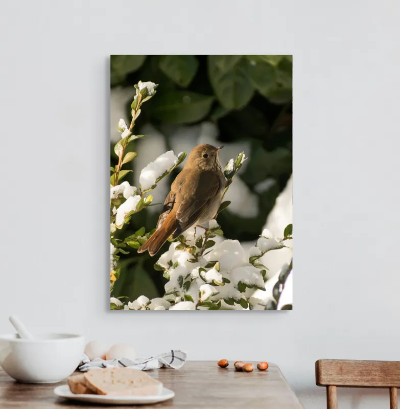 Tablou Canvas, "Pasărea cântătoare în zăpada proaspătă", Pasăre, Zăpadă, Natură, Ramuri, Frunze, Verde, Frig, Iarnă, Peisaj, Delicat, 50 x 70 cm – poza 3