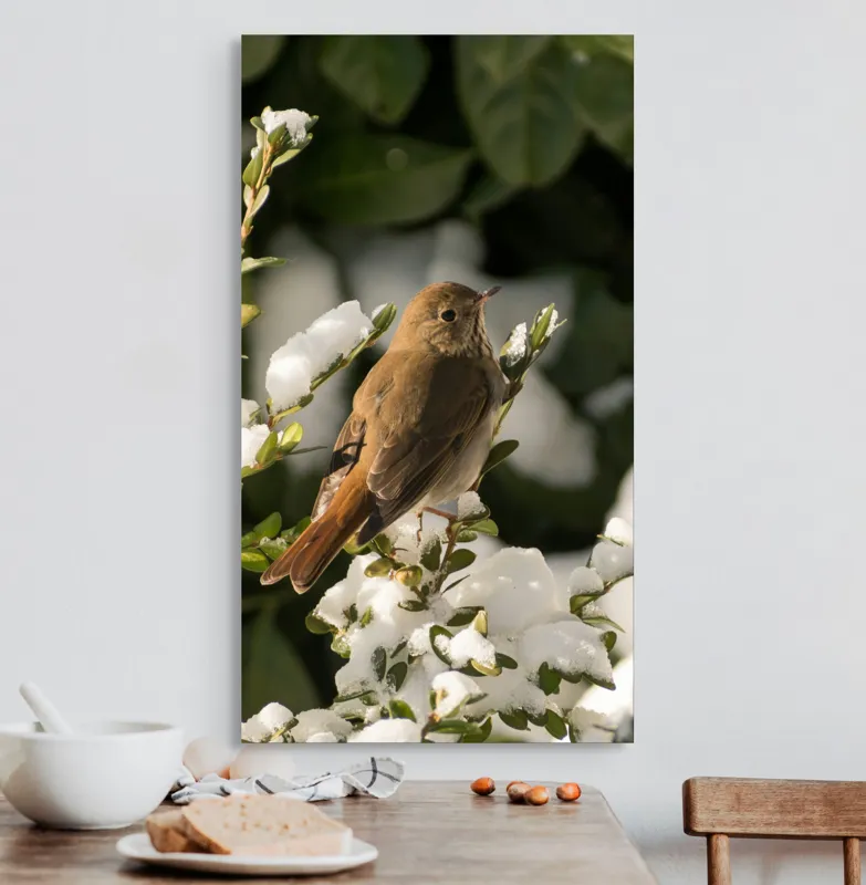 Tablou Canvas, "Pasărea cântătoare în zăpada proaspătă", Pasăre, Zăpadă, Natură, Ramuri, Frunze, Verde, Frig, Iarnă, Peisaj, Delicat, 50 x 90 cm – poza 3