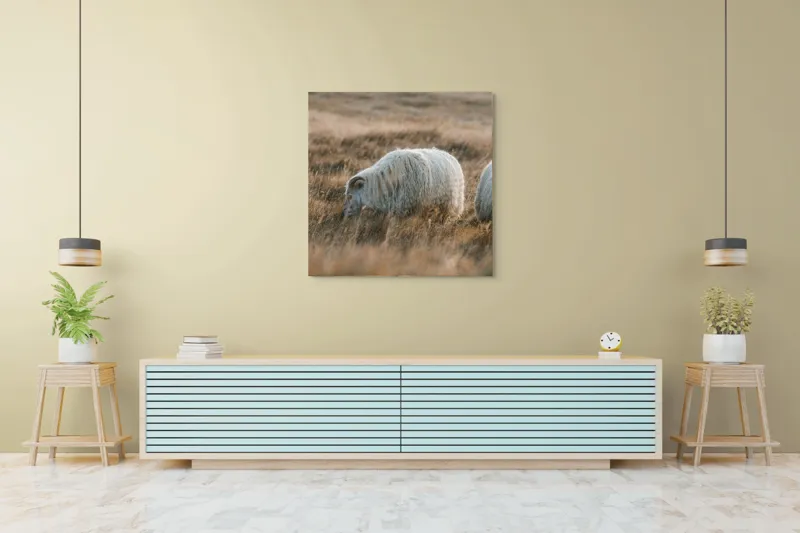 Tablou Canvas, "Oile pașnice în amurg auriu", I don't know who these animals are., 100 x 100 cm – poza 5