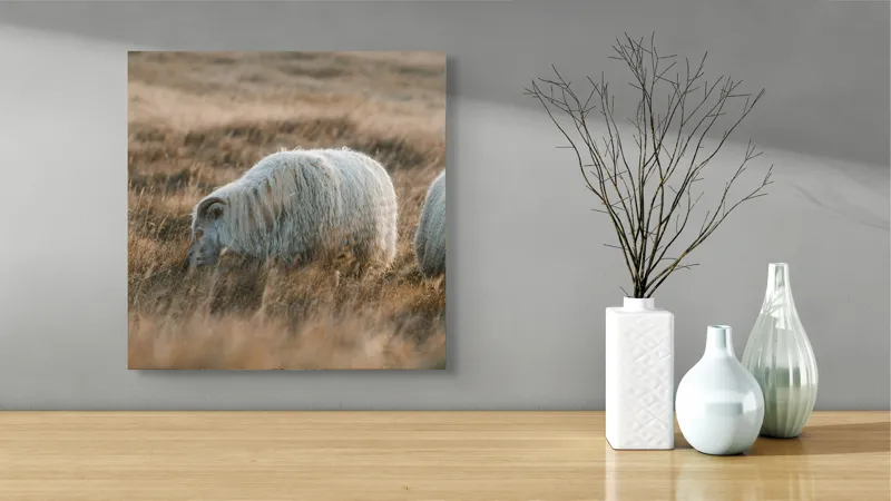Tablou Canvas, "Oile pașnice în amurg auriu", I don't know who these animals are., 50 x 50 cm – poza 3