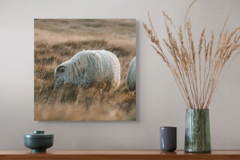 Tablou Canvas, "Oile pașnice în amurg auriu", I don't know who these animals are., 50 x 50 cm – poza 4