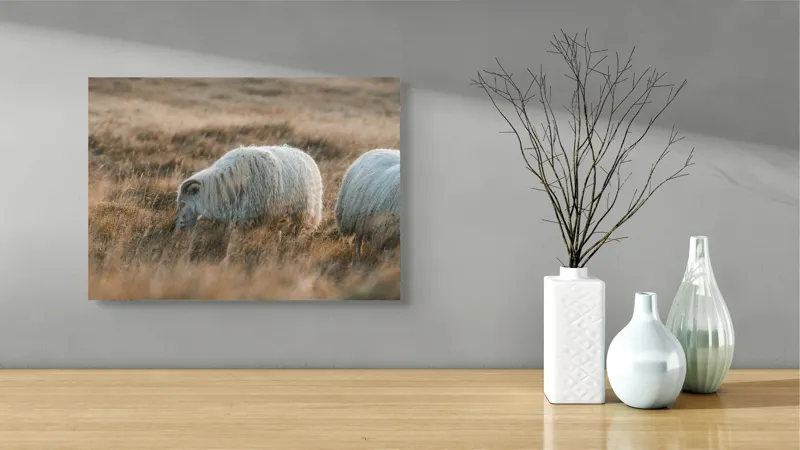 Tablou Canvas, "Oile pașnice în amurg auriu", I don't know who these animals are., 54 x 39 cm – poza 3