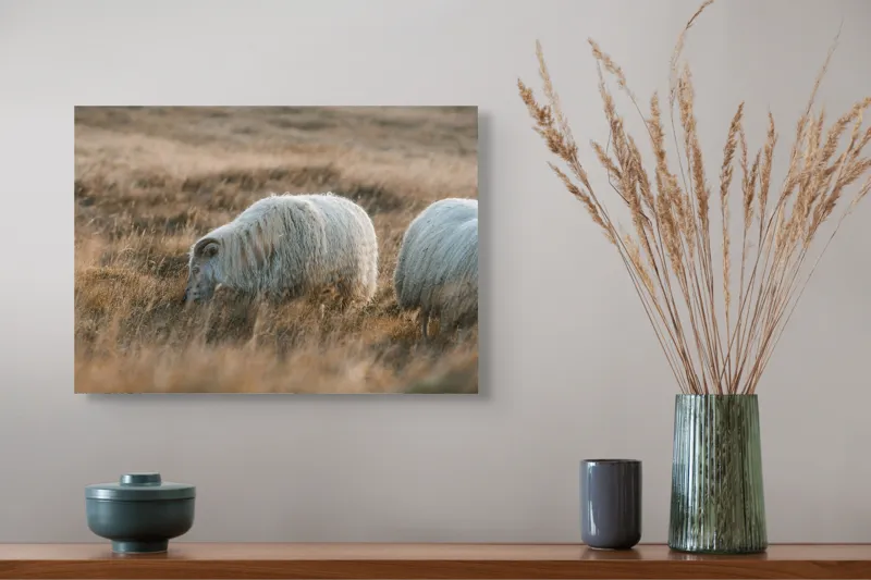 Tablou Canvas, "Oile pașnice în amurg auriu", I don't know who these animals are., 54 x 39 cm – poza 4