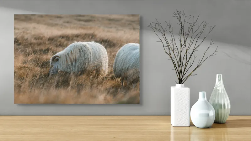 Tablou Canvas, "Oile pașnice în amurg auriu", I don't know who these animals are., 70 x 50 cm – poza 3