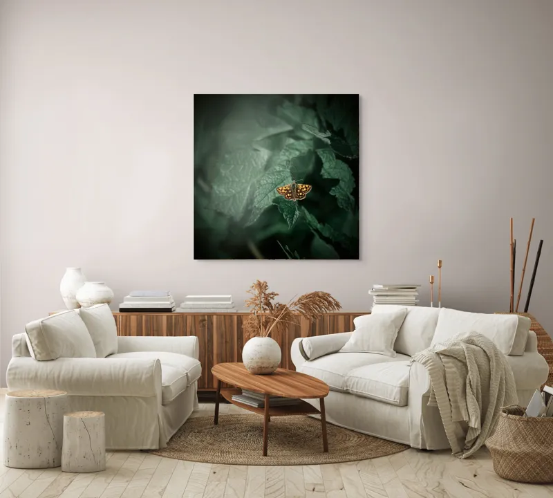 Tablou Canvas, "Fluturele auriu pe frunza verde", Fluture, Verdeață, Frunze, Delicat, Natură, Contrast, Fragil, Lumină, 100 x 100 cm – poza 3