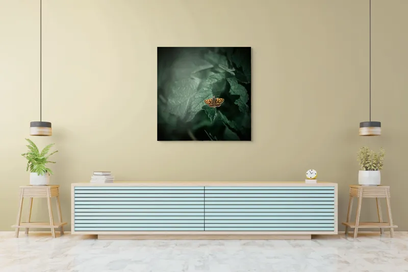 Tablou Canvas, "Fluturele auriu pe frunza verde", Fluture, Verdeață, Frunze, Delicat, Natură, Contrast, Fragil, Lumină, 100 x 100 cm – poza 5