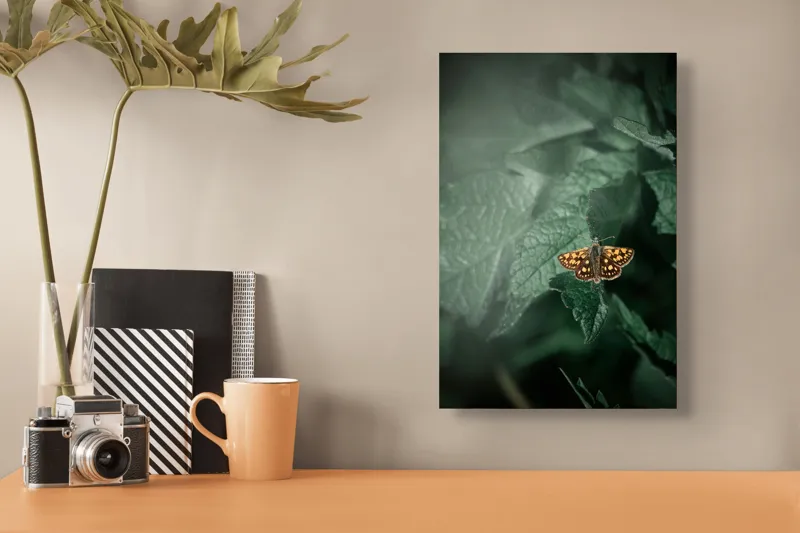 Tablou Canvas, "Fluturele auriu pe frunza verde", Fluture, Verdeață, Frunze, Delicat, Natură, Contrast, Fragil, Lumină, 26 x 39 cm – poza 3