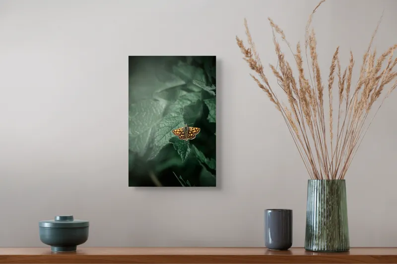 Tablou Canvas, "Fluturele auriu pe frunza verde", Fluture, Verdeață, Frunze, Delicat, Natură, Contrast, Fragil, Lumină, 26 x 39 cm – poza 5