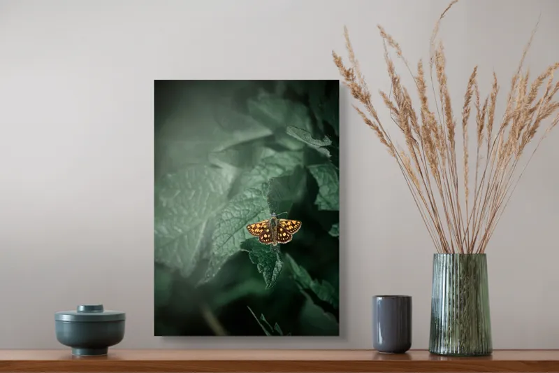 Tablou Canvas, "Fluturele auriu pe frunza verde", Fluture, Verdeață, Frunze, Delicat, Natură, Contrast, Fragil, Lumină, 39 x 54 cm – poza 3