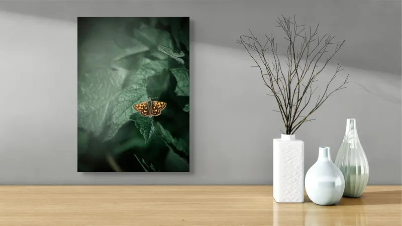Tablou Canvas, "Fluturele auriu pe frunza verde", Fluture, Verdeață, Frunze, Delicat, Natură, Contrast, Fragil, Lumină, 39 x 54 cm – poza 4