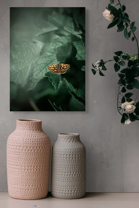 Tablou Canvas, "Fluturele auriu pe frunza verde", Fluture, Verdeață, Frunze, Delicat, Natură, Contrast, Fragil, Lumină, 39 x 54 cm – poza 6