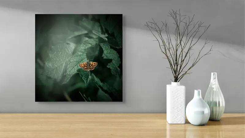 Tablou Canvas, "Fluturele auriu pe frunza verde", Fluture, Verdeață, Frunze, Delicat, Natură, Contrast, Fragil, Lumină, 50 x 50 cm – poza 3