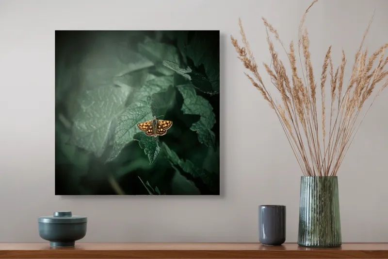 Tablou Canvas, "Fluturele auriu pe frunza verde", Fluture, Verdeață, Frunze, Delicat, Natură, Contrast, Fragil, Lumină, 50 x 50 cm – poza 4