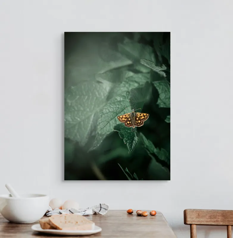 Tablou Canvas, "Fluturele auriu pe frunza verde", Fluture, Verdeață, Frunze, Delicat, Natură, Contrast, Fragil, Lumină, 50 x 70 cm – poza 3
