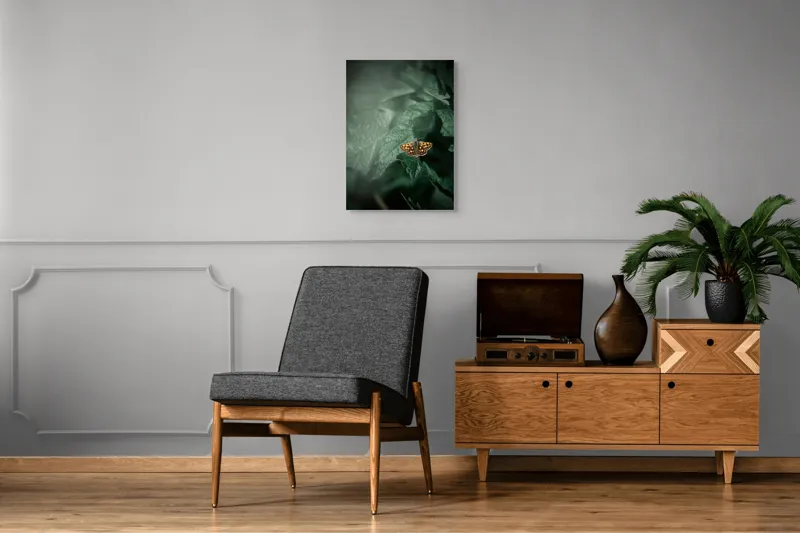 Tablou Canvas, "Fluturele auriu pe frunza verde", Fluture, Verdeață, Frunze, Delicat, Natură, Contrast, Fragil, Lumină, 50 x 70 cm – poza 8