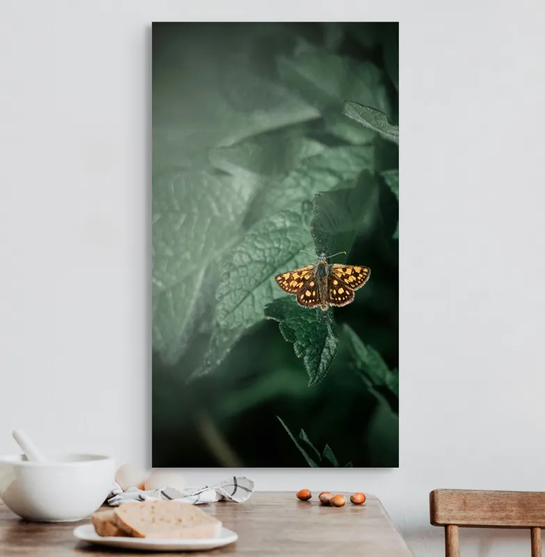 Tablou Canvas, "Fluturele auriu pe frunza verde", Fluture, Verdeață, Frunze, Delicat, Natură, Contrast, Fragil, Lumină, 50 x 90 cm – poza 3