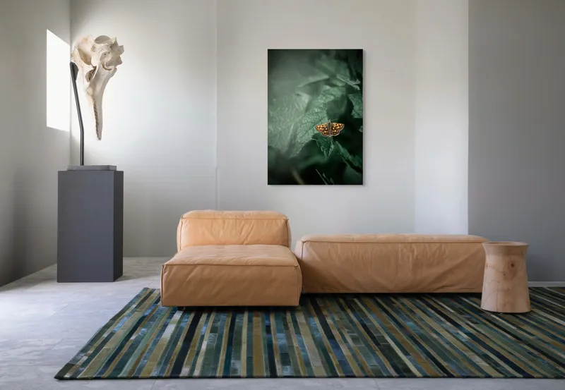 Tablou Canvas, "Fluturele auriu pe frunza verde", Fluture, Verdeață, Frunze, Delicat, Natură, Contrast, Fragil, Lumină, 70 x 100 cm – poza 7
