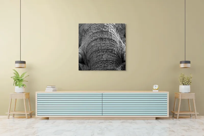 Tablou Canvas, "Povestea ridurilor unui elefant", Elefant, Impresionant, Textură, Detalii, Colți, Privire, Puternic, Majestos, 100 x 100 cm – poza 5