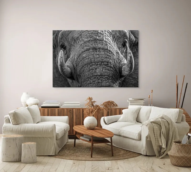 Tablou Canvas, "Povestea ridurilor unui elefant", Elefant, Impresionant, Textură, Detalii, Colți, Privire, Puternic, Majestos, 150 x 100 cm – poza 3