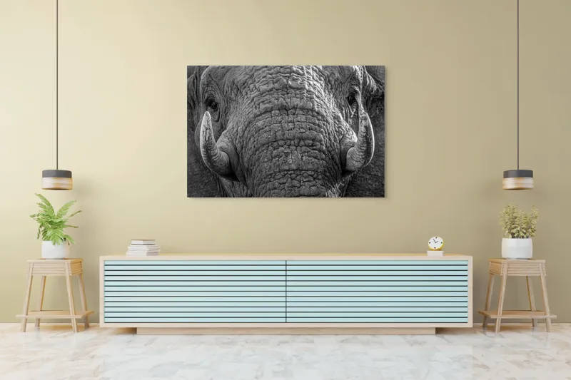 Tablou Canvas, "Povestea ridurilor unui elefant", Elefant, Impresionant, Textură, Detalii, Colți, Privire, Puternic, Majestos, 150 x 100 cm – poza 6