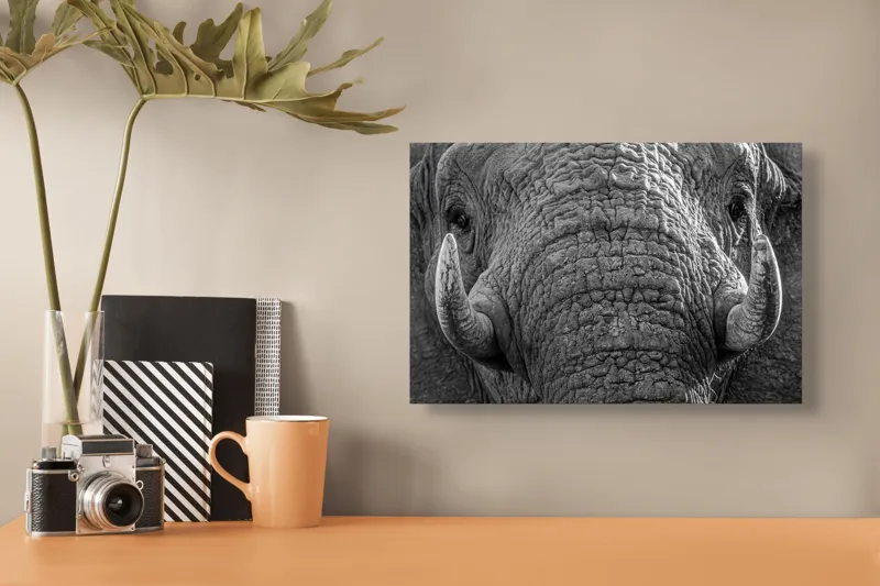 Tablou Canvas, "Povestea ridurilor unui elefant", Elefant, Impresionant, Textură, Detalii, Colți, Privire, Puternic, Majestos, 39 x 26 cm – poza 3