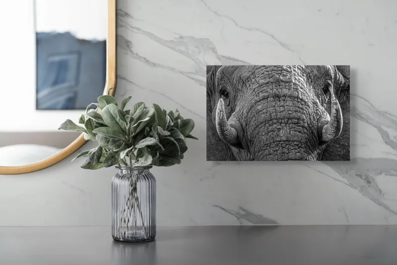 Tablou Canvas, "Povestea ridurilor unui elefant", Elefant, Impresionant, Textură, Detalii, Colți, Privire, Puternic, Majestos, 39 x 26 cm – poza 5