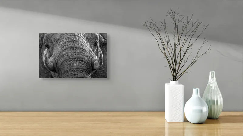Tablou Canvas, "Povestea ridurilor unui elefant", Elefant, Impresionant, Textură, Detalii, Colți, Privire, Puternic, Majestos, 39 x 26 cm – poza 8