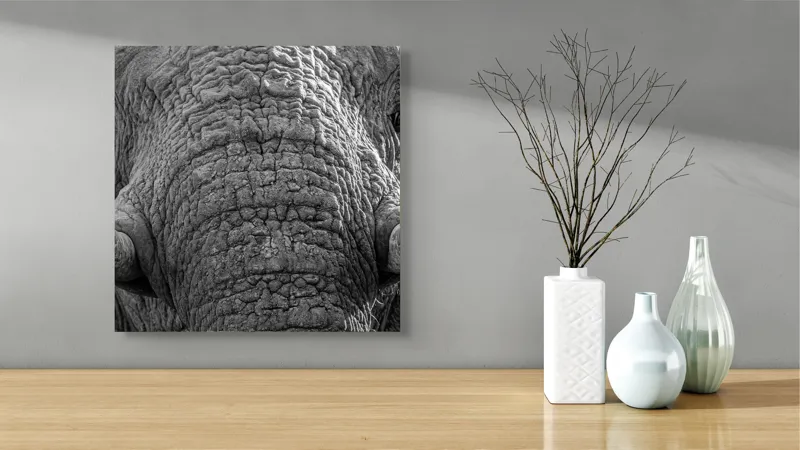 Tablou Canvas, "Povestea ridurilor unui elefant", Elefant, Impresionant, Textură, Detalii, Colți, Privire, Puternic, Majestos, 50 x 50 cm – poza 3