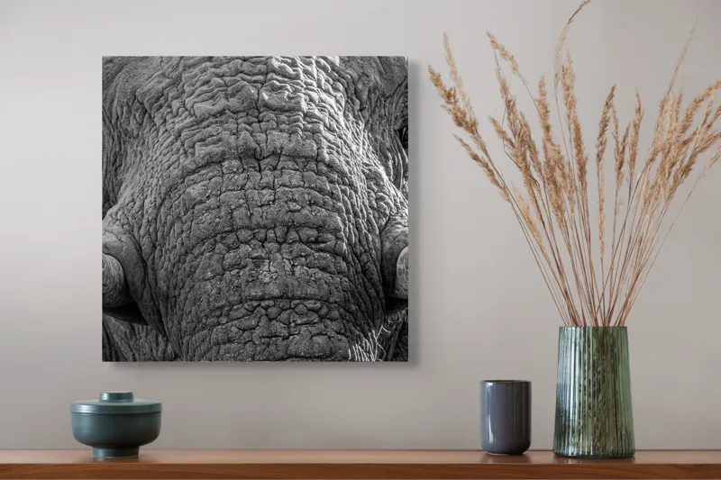 Tablou Canvas, "Povestea ridurilor unui elefant", Elefant, Impresionant, Textură, Detalii, Colți, Privire, Puternic, Majestos, 50 x 50 cm – poza 4