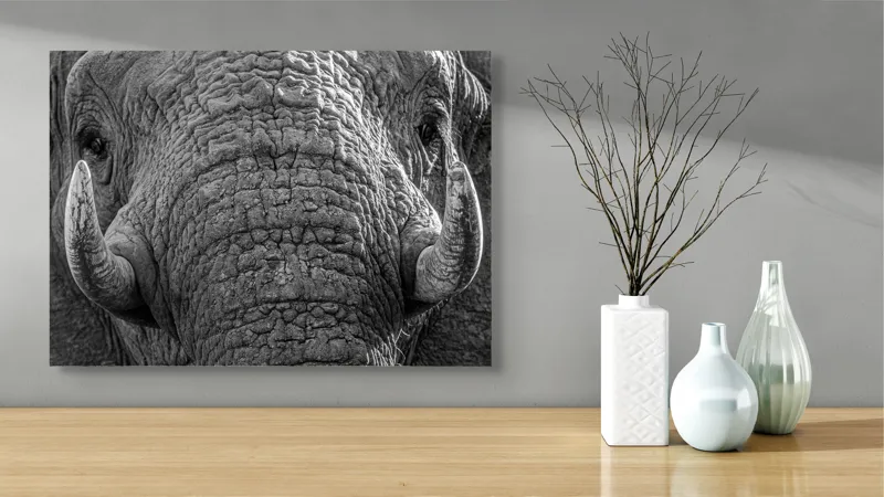 Tablou Canvas, "Povestea ridurilor unui elefant", Elefant, Impresionant, Textură, Detalii, Colți, Privire, Puternic, Majestos, 70 x 50 cm – poza 3