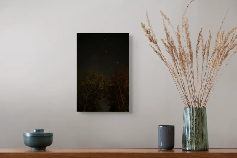 Tablou Canvas, "Stelele strălucesc peste pădurea întunecată", Stele, Cer, Noapte, Copaci, Natură, Lumină, Galaxie, Linie, Întuneric, Taină., 26 x 39 cm – poza 5