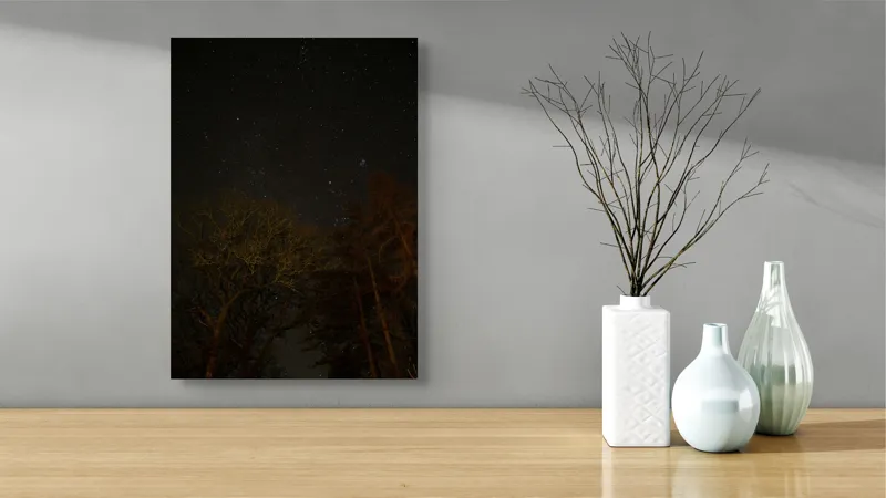 Tablou Canvas, "Stelele strălucesc peste pădurea întunecată", Stele, Cer, Noapte, Copaci, Natură, Lumină, Galaxie, Linie, Întuneric, Taină., 39 x 54 cm – poza 4