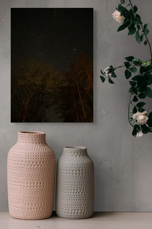 Tablou Canvas, "Stelele strălucesc peste pădurea întunecată", Stele, Cer, Noapte, Copaci, Natură, Lumină, Galaxie, Linie, Întuneric, Taină., 39 x 54 cm – poza 6