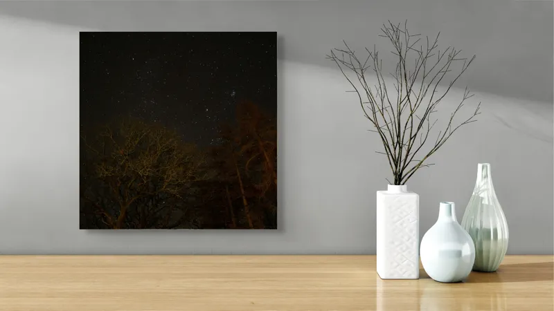 Tablou Canvas, "Stelele strălucesc peste pădurea întunecată", Stele, Cer, Noapte, Copaci, Natură, Lumină, Galaxie, Linie, Întuneric, Taină., 50 x 50 cm – poza 3