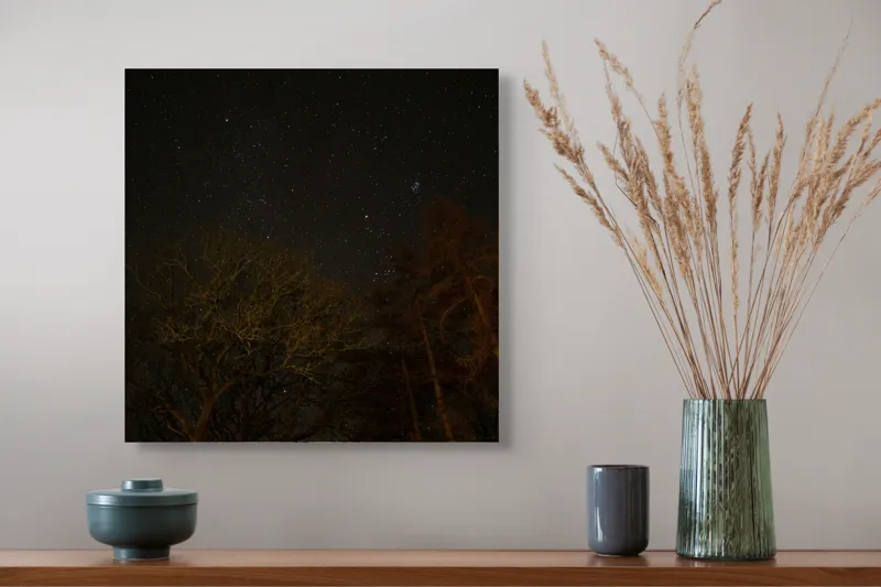 Tablou Canvas, "Stelele strălucesc peste pădurea întunecată", Stele, Cer, Noapte, Copaci, Natură, Lumină, Galaxie, Linie, Întuneric, Taină., 50 x 50 cm – poza 4