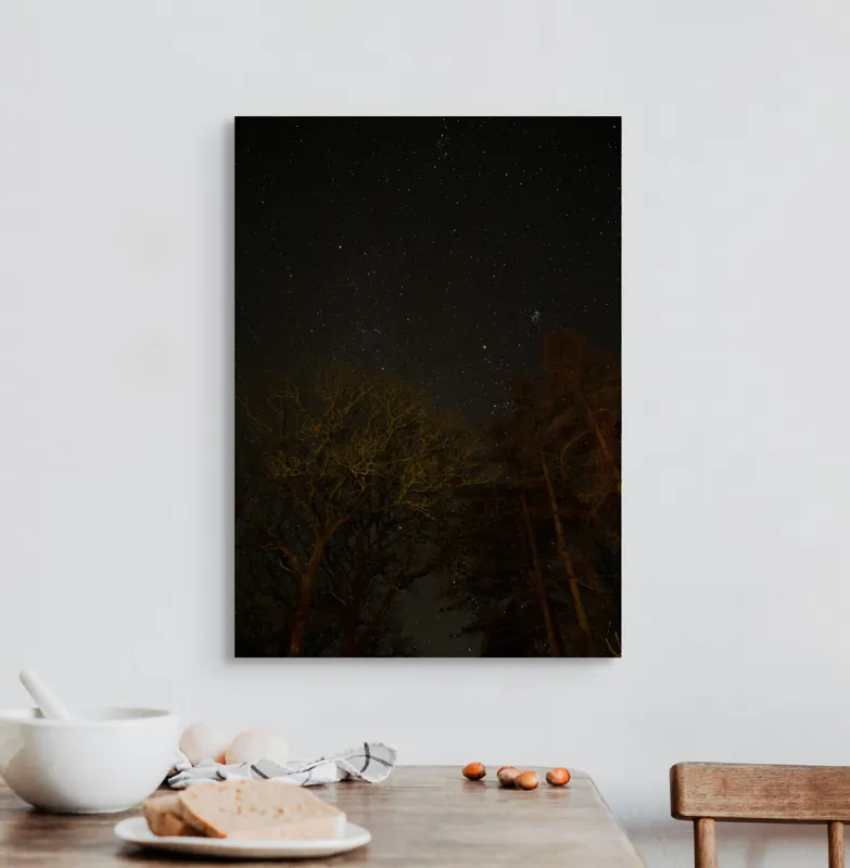 Tablou Canvas, "Stelele strălucesc peste pădurea întunecată", Stele, Cer, Noapte, Copaci, Natură, Lumină, Galaxie, Linie, Întuneric, Taină., 50 x 70 cm – poza 3