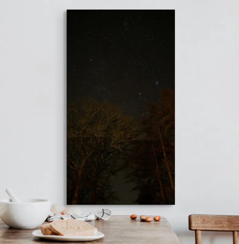 Tablou Canvas, "Stelele strălucesc peste pădurea întunecată", Stele, Cer, Noapte, Copaci, Natură, Lumină, Galaxie, Linie, Întuneric, Taină., 50 x 90 cm – poza 3