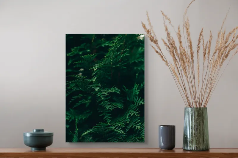 Tablou Canvas, "Verde viu în umbra dimineții", Verde, Frunziș, Natural, Textură, Abundență, Întunecat, Organic, Viu, 39 x 54 cm – poza 3