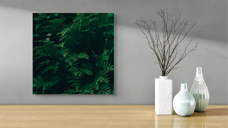 Tablou Canvas, "Verde viu în umbra dimineții", Verde, Frunziș, Natural, Textură, Abundență, Întunecat, Organic, Viu, 50 x 50 cm – poza 3