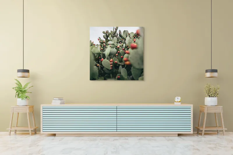 Tablou Canvas, "Oază de cactuși cu fructe colorate", Spini, Verde, Cactuși, Roșu, Fructe, Natură, Texturi, Pădure, Rugozitate, Ariditate, 100 x 100 cm – poza 5