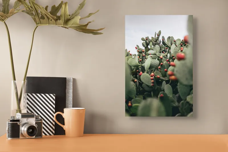 Tablou Canvas, "Oază de cactuși cu fructe colorate", Spini, Verde, Cactuși, Roșu, Fructe, Natură, Texturi, Pădure, Rugozitate, Ariditate, 26 x 39 cm – poza 3