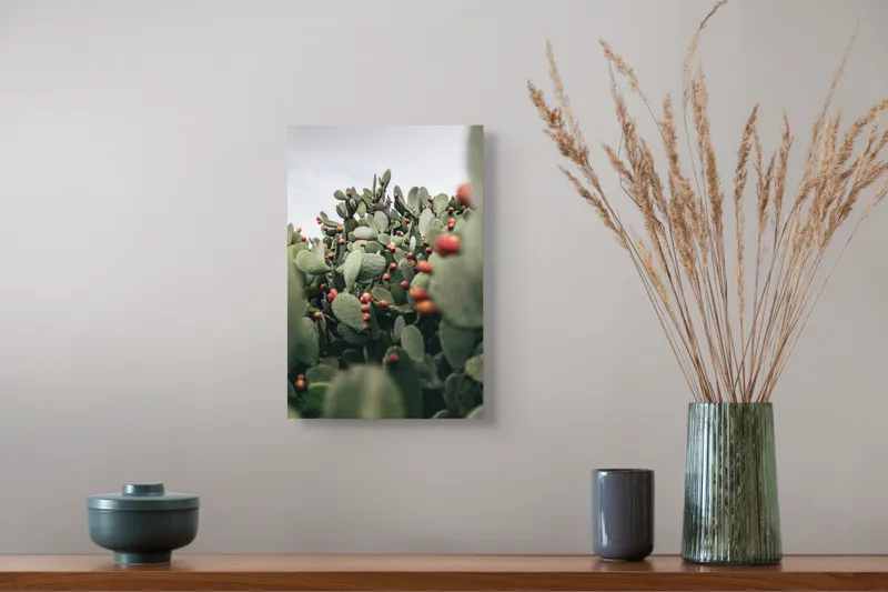 Tablou Canvas, "Oază de cactuși cu fructe colorate", Spini, Verde, Cactuși, Roșu, Fructe, Natură, Texturi, Pădure, Rugozitate, Ariditate, 26 x 39 cm – poza 5
