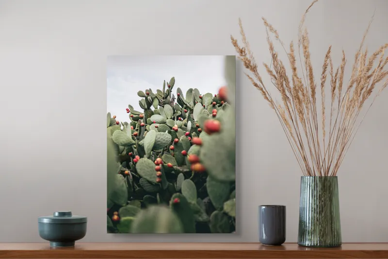 Tablou Canvas, "Oază de cactuși cu fructe colorate", Spini, Verde, Cactuși, Roșu, Fructe, Natură, Texturi, Pădure, Rugozitate, Ariditate, 39 x 54 cm – poza 3