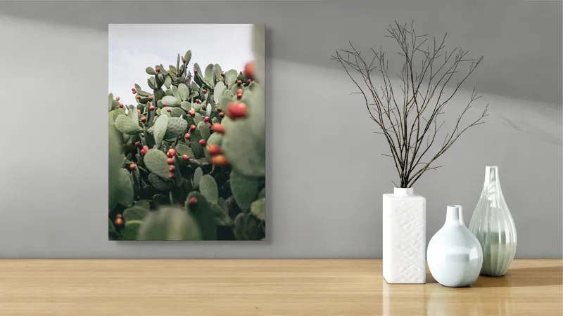 Tablou Canvas, "Oază de cactuși cu fructe colorate", Spini, Verde, Cactuși, Roșu, Fructe, Natură, Texturi, Pădure, Rugozitate, Ariditate, 39 x 54 cm – poza 4
