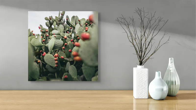 Tablou Canvas, "Oază de cactuși cu fructe colorate", Spini, Verde, Cactuși, Roșu, Fructe, Natură, Texturi, Pădure, Rugozitate, Ariditate, 50 x 50 cm – poza 3