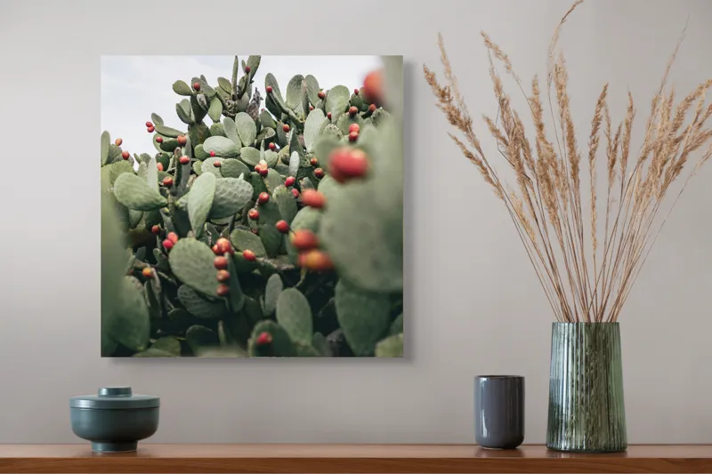 Tablou Canvas, "Oază de cactuși cu fructe colorate", Spini, Verde, Cactuși, Roșu, Fructe, Natură, Texturi, Pădure, Rugozitate, Ariditate, 50 x 50 cm – poza 4